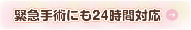 緊急手術も24時間対応